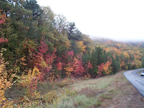 autumn foliage on the National talimena scenic by-way