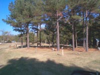 Shaded RV Sites